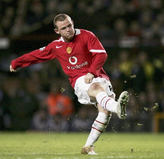 保护他们的 保护他们的